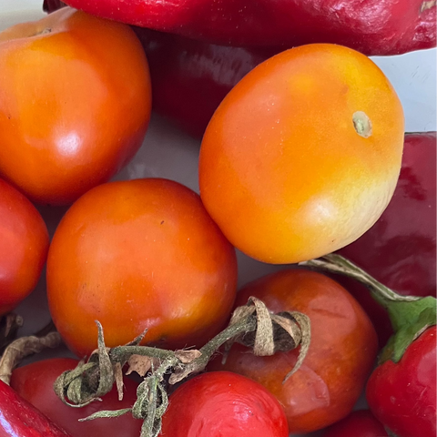 Passata&amp;Sughi