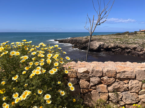 Viaggio in Puglia